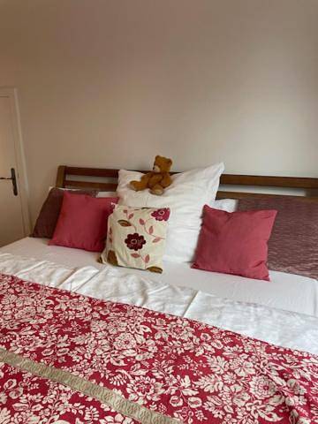 Location de vacances pour 2 personnes, avec terrasse et jardin à Haguenau - 2