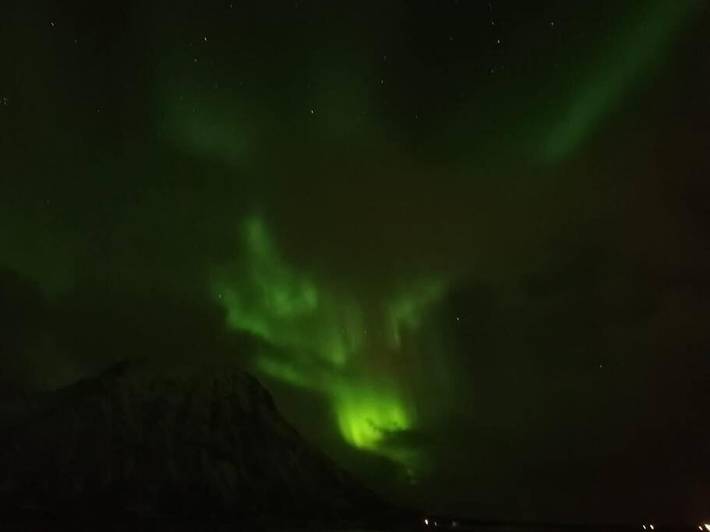 Ferienhaus für 6 Personen, mit Garten und Ausblick, mit Haustier in Vesterålen - 3