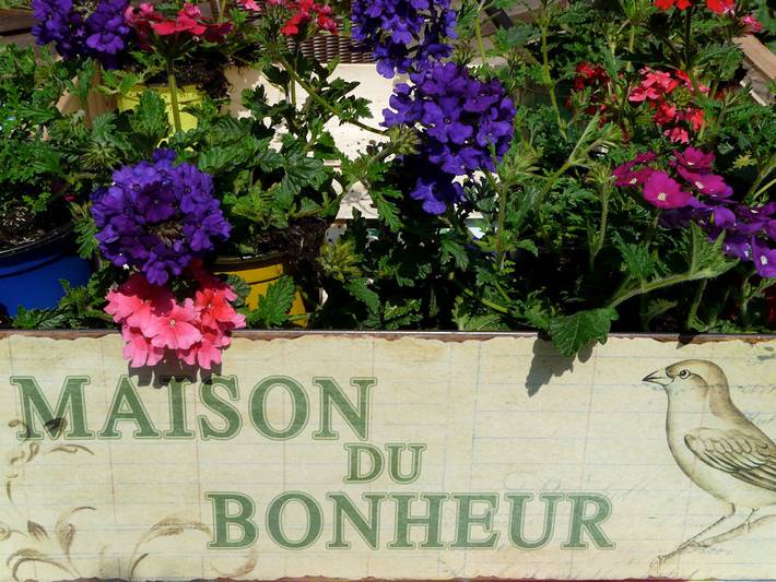 Gîte pour 2 personnes, avec terrasse et jardin au Parc naturel régional des Ballons des Vosges - 3