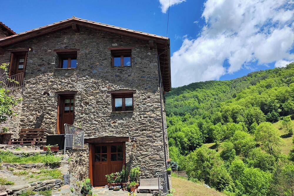 Apartamento entero, Cal Llarg - Cal Masover in Molló, Pirineo Catalan