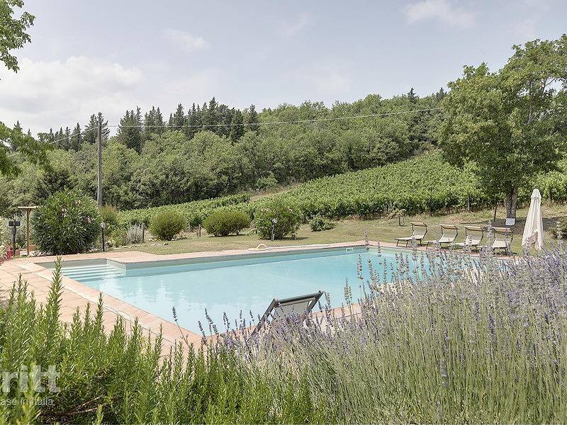 Tritt — Apartment for 6 people in Pontassieve among the vineyards in Pontassieve, Chianti