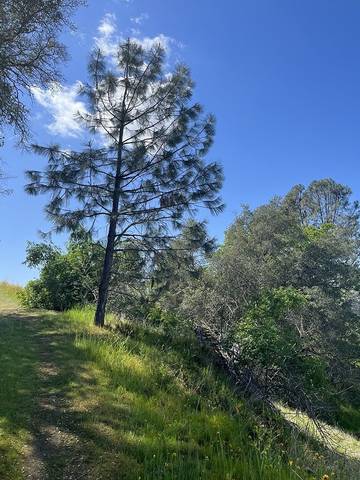 Camping for 10 Guests in Kings Canyon National Park, Fresno County, Picture 2