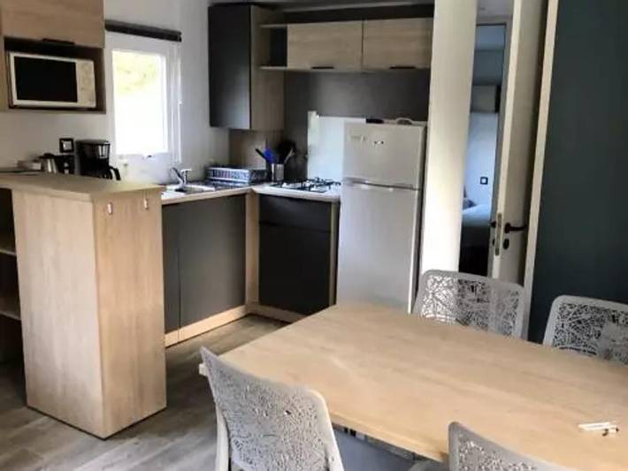 Mobil home pour 6 personnes, avec bassin pour enfant à Thonac - 3