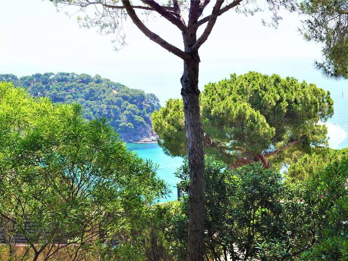 Location de vacances pour 8 personnes, avec vue sur l’océan et jardin à Canyelles - 3