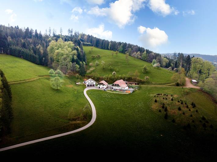 Gîte pour 3 personnes, avec jardin, animaux acceptés à Oberharmersbach - 2