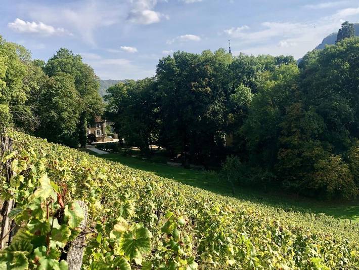 Location de vacances pour 10 personnes, avec jardin dans Nevy-sur-Seille - 2