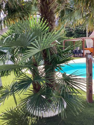 Gîte pour 4 personnes, avec jardin et piscine dans Hauts-de-France