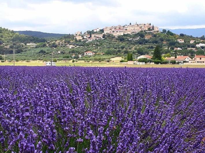 Location de vacances pour 2 personnes, avec jardin ainsi que piscine et vue à Montfort - 4
