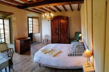 Château pour 12 Personnes dans Pont-de-Ruan, Parc naturel régional Loire-Anjou-Touraine, Photo 3