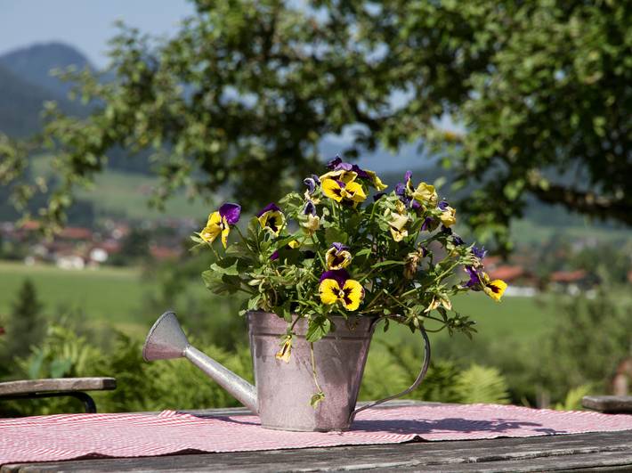 Bauernhof für 3 Personen, mit Garten in Inzell - 4
