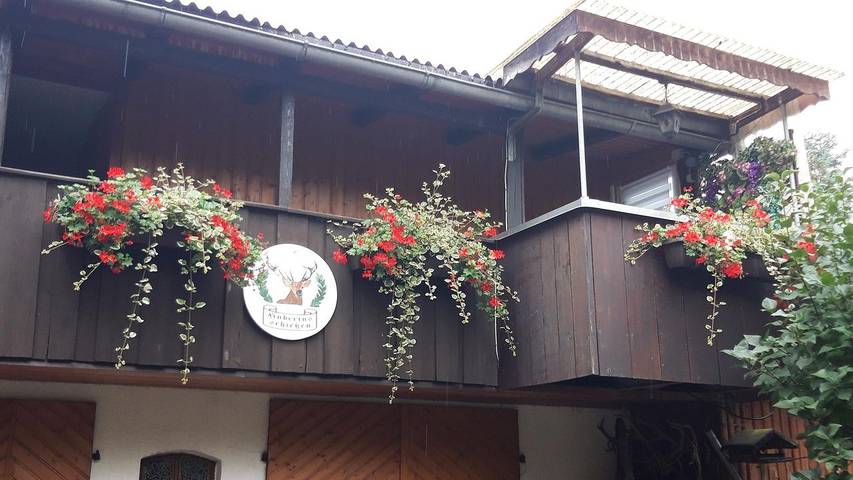 Ferienwohnung für 3 Personen, mit Terrasse in Thale - 2