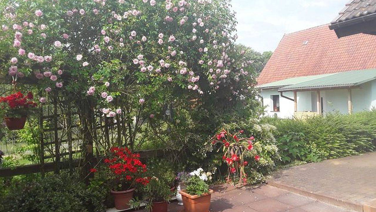 Ferienhaus für 2 Personen (25 m²) in Grabowhöfe in Grabowhöfe, Mecklenburgische Seenplatte