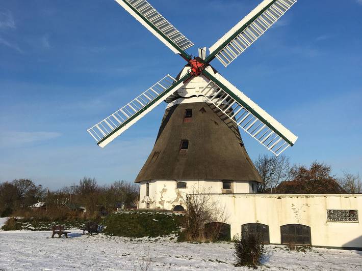 Ferienwohnung für 2 Personen, mit Garten und Terrasse, mit Haustier in Wrixum - 4