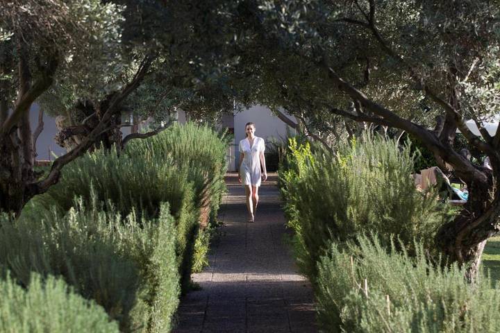 Hôtel pour 3 personnes, avec bassin pour enfant et jardin ainsi que sauna et piscine, adapté aux familles à Paphos (ville) - 3