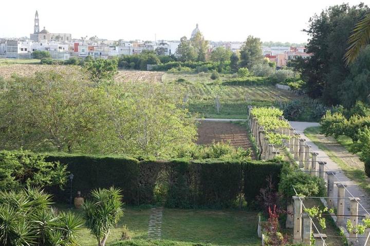Chambre d’hôte pour 3 personnes, avec jardin ainsi que piscine et jacuzzi à Lecce - 3