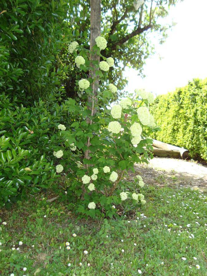 Location de vacances pour 2 personnes, avec piscine et sauna ainsi que vue et jardin à Queyrac - 3