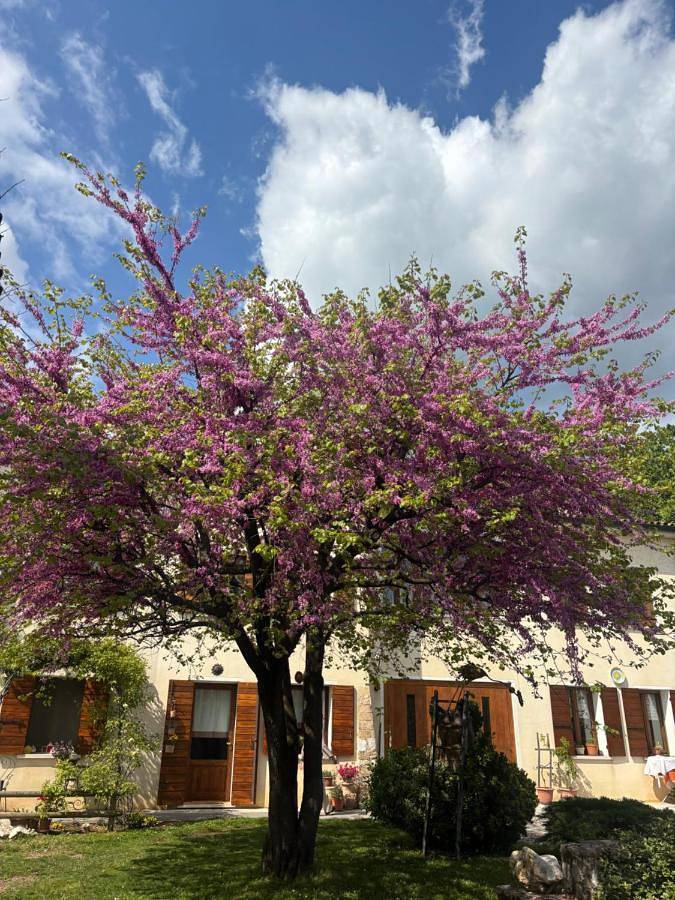 Location de vacances pour 2 personnes, avec Jardin et Vue à Paderno del Grappa