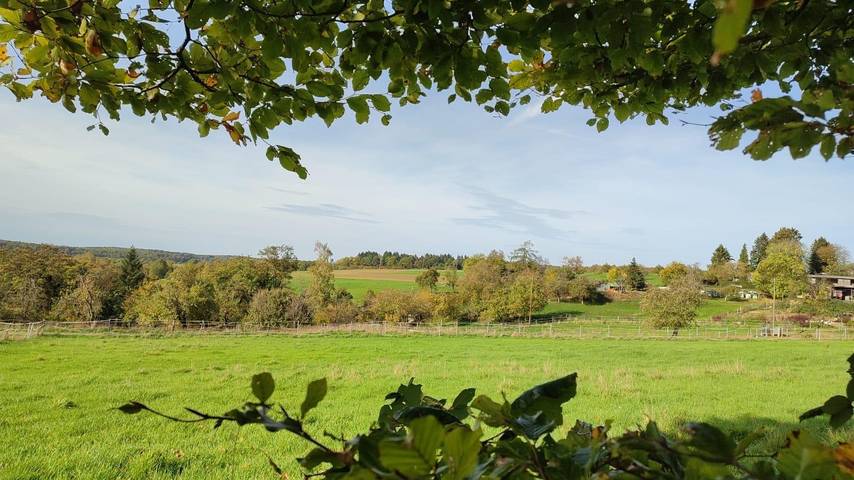 Gîte pour 4 personnes, avec terrasse, adapté aux familles à Pirmasens - 4
