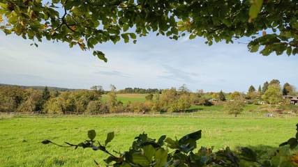 Ferienwohnung für 4 Personen in Pirmasens, Pfalz, Bild 3