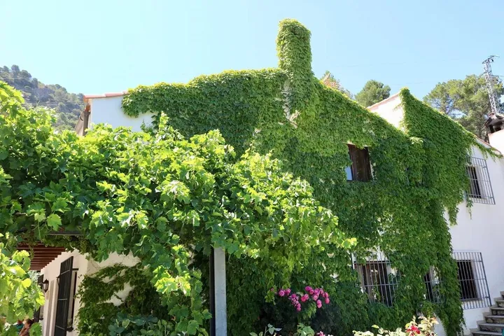 Apartamento de vacaciones para 4 personas, con jardín además de vistas y piscina, Se admiten mascotas - 1