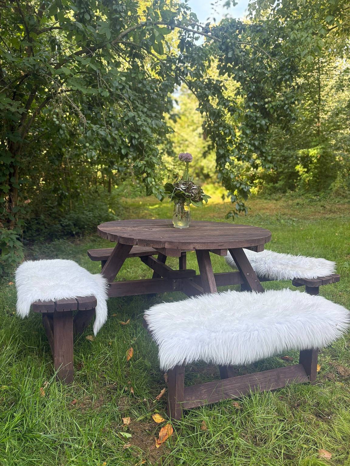Ganze Wohnung, Apartment „Hof Hageneck“ mit gemeinsamer Terrasse, Garten und Wlan in Everswinkel, Kreis Warendorf