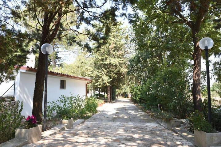Chambre d’hôte pour 2 personnes, avec jardin et vue à Gioia del Colle - 3