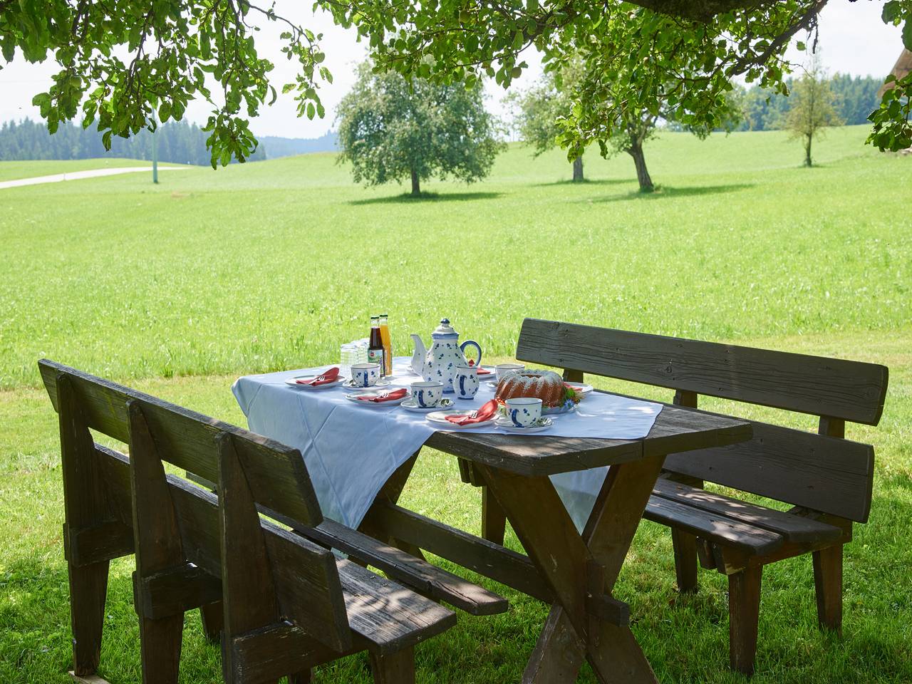 Beim Dobler - Appartement Nussbaum, 32 qm, 1. Obergschoss, kombinierter Wohn-Schlafraum in Höslwang, Chiemsee
