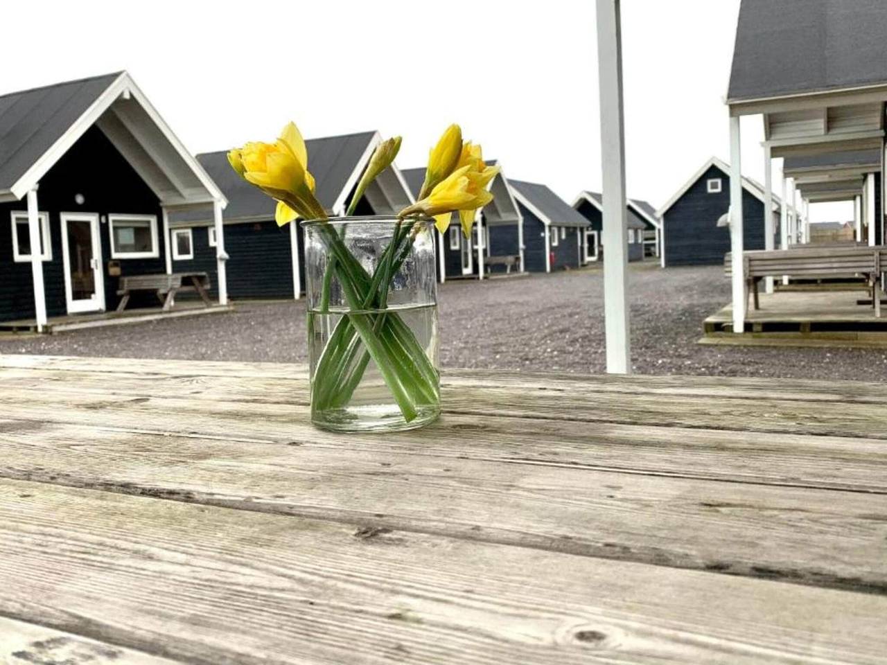 4 Sterne Ferienhaus in Thyborøn in Thyborøn, Limfjord in Westjütland