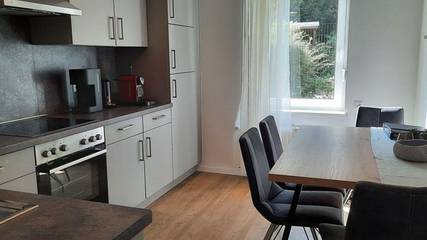 Ferienhaus für 6 Personen, mit Terrasse und Garten in Balje