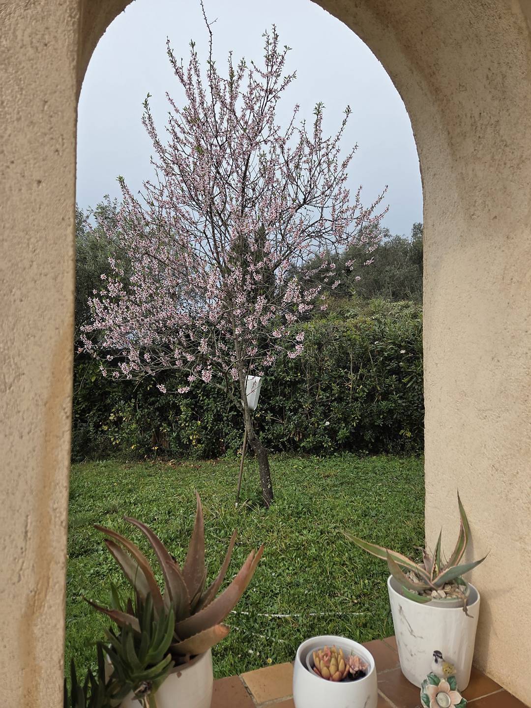 Ganze Ferienwohnung, Villa with garden, swimming pool, Wi-Fi and air conditioning, near the villages of Mouans-Sartoux and Cannes in Mouans-Sartoux, Cannes und Umgebung