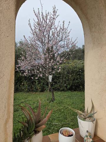 Location De Vacances pour 8 Personnes dans Mouans-Sartoux, Région de Cannes, Photo 1
