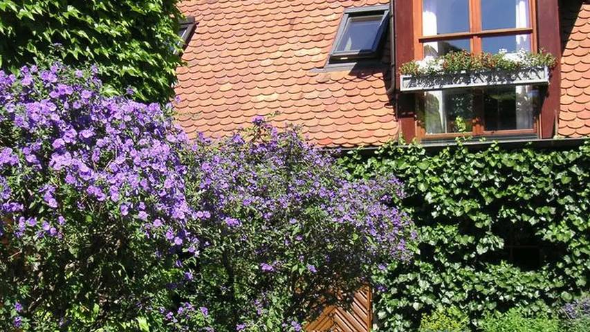 Bauernhof für 5 Personen, mit Garten in der Fränkische Schweiz - 4