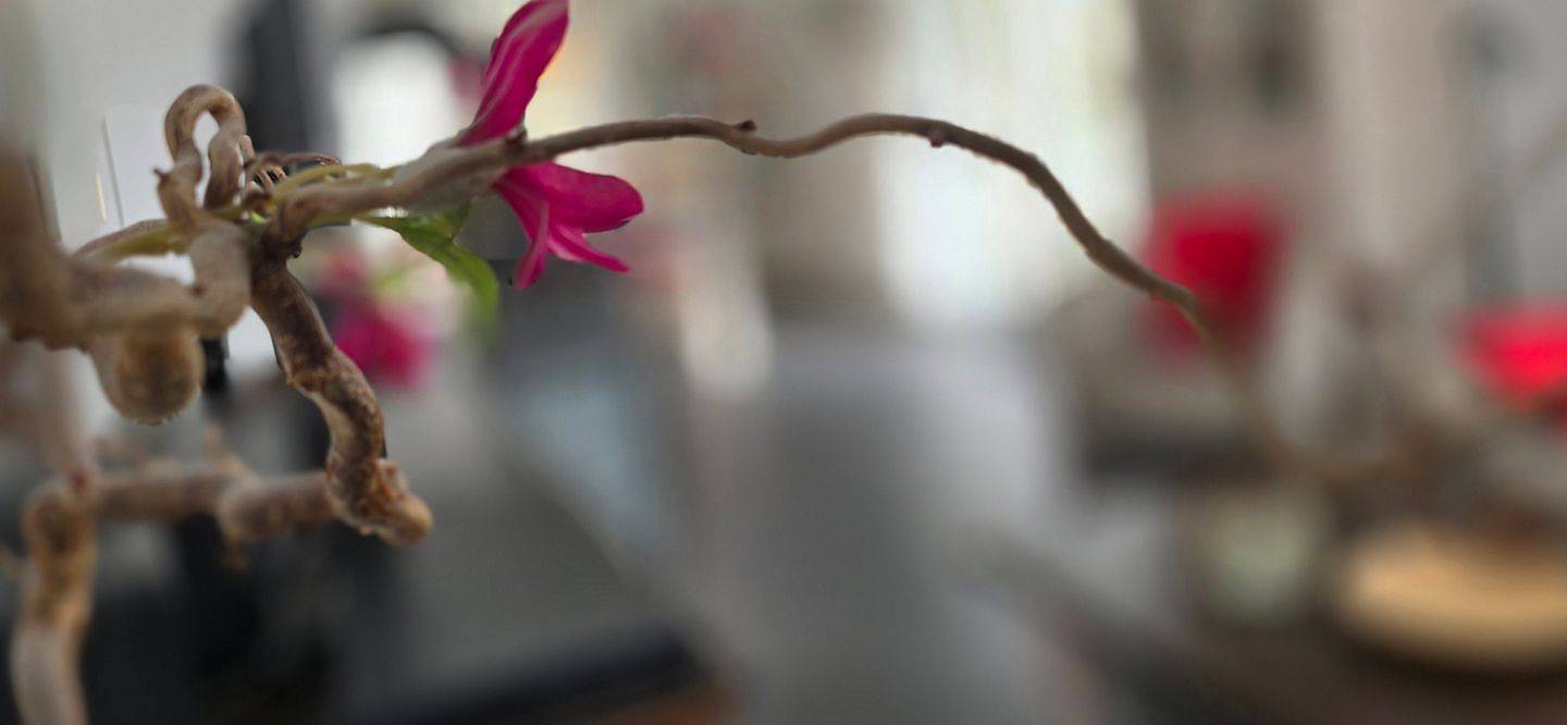 Apartamento entero, Moderne Ferienwohnung in bester Strandlage mit schönem Balkon und Kaminofen! in Graal-Müritz, Rostock y sus alrededores