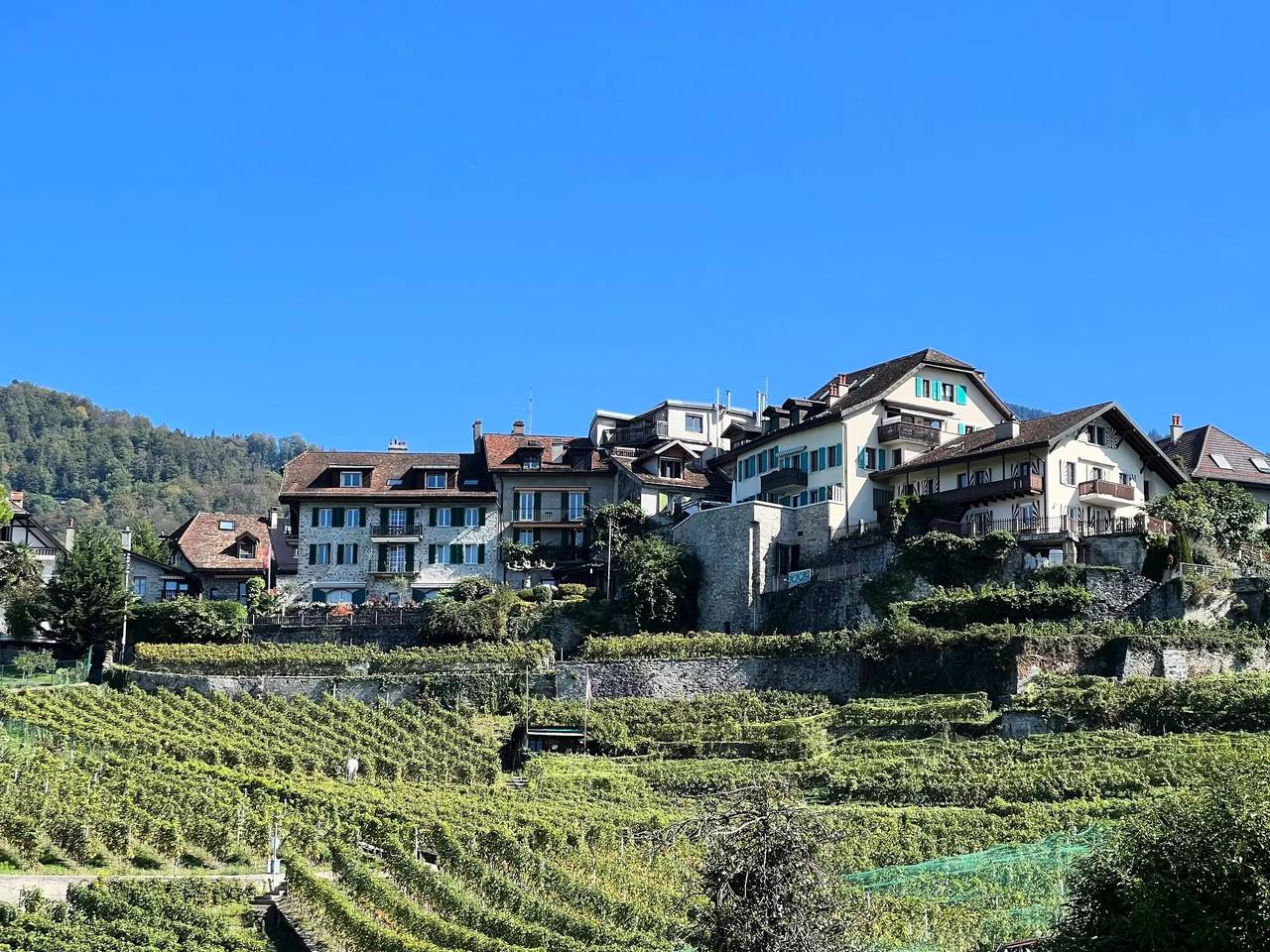 Apartamento entero, 3 estancias 3 Personas in Chailly-Montreux, Montreux