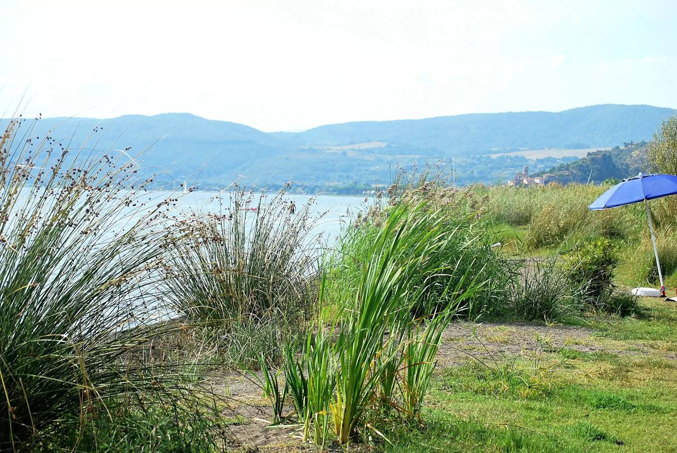Apartamento inteiro, Patio de caravana - Mascotas 2 a 4 personas - 2 pers. incluido en el arancel in Trevignano Romano, Lago de Bracciano