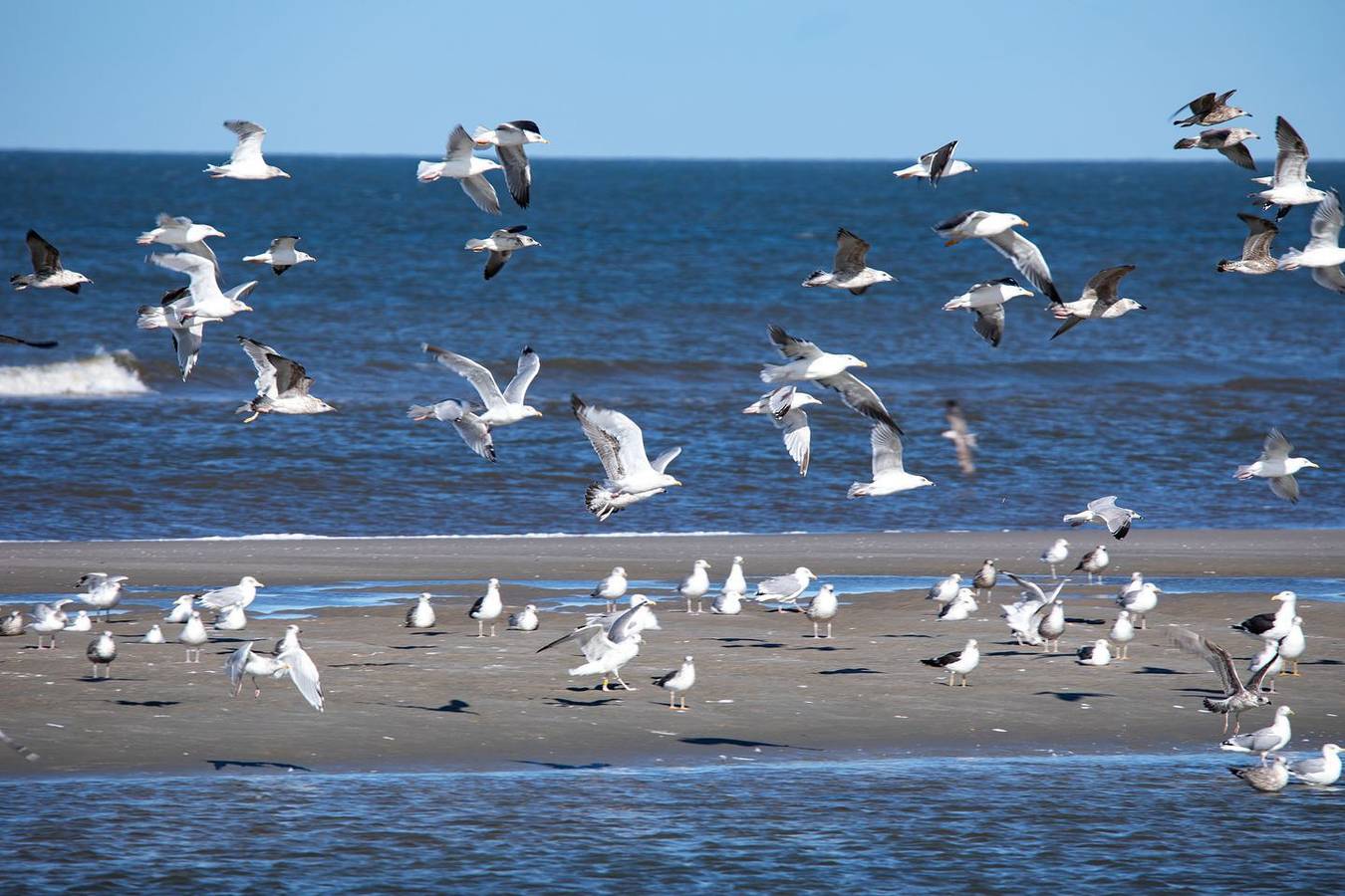 Apartamento entero, Kleines Appartement bis zu 4 Personen mit Balkon im Herzen der Insel Juist in Juist