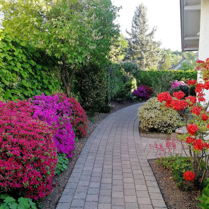 Gîte pour 2 personnes, avec jardin et terrasse à Gernsbach - 2
