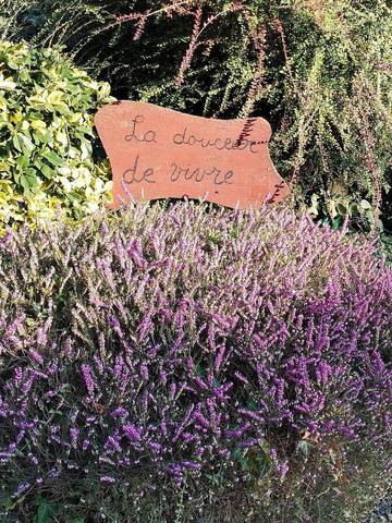 Location de vacances pour 4 personnes, avec terrasse, animaux acceptés dans Valsemé