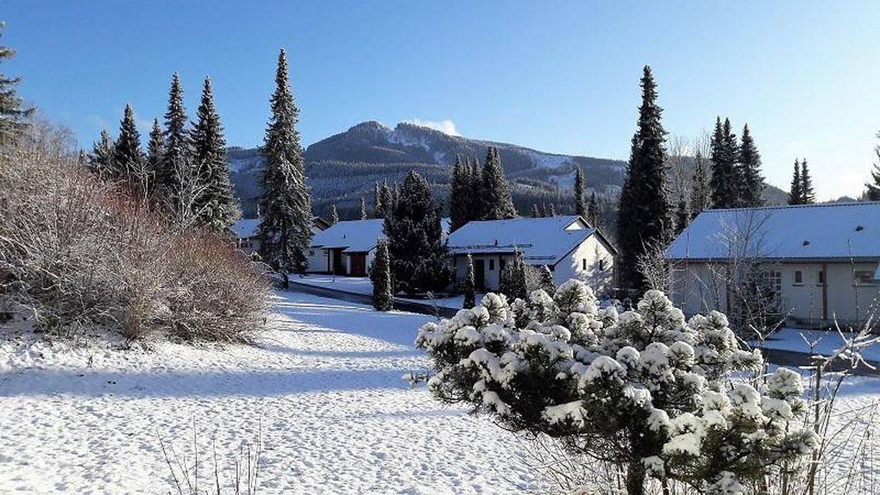 Ferienhaus für 6 Personen in Nesselwang in Nesselwang, Svevia (Bavaria)