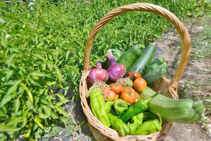 Casa rural para 18 personas, con balcón y vistas, Familias con niños en Provincia de Burgos - 2