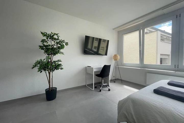 Apartamento entero, Modern City Studios in Basel with Basel Card in Basilea, Region Basel RDK