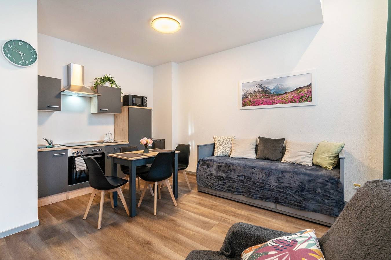 Ganze Wohnung, Apartment 'Murihaus' mit privater Terrasse und Wlan in Aue, Erzgebirge