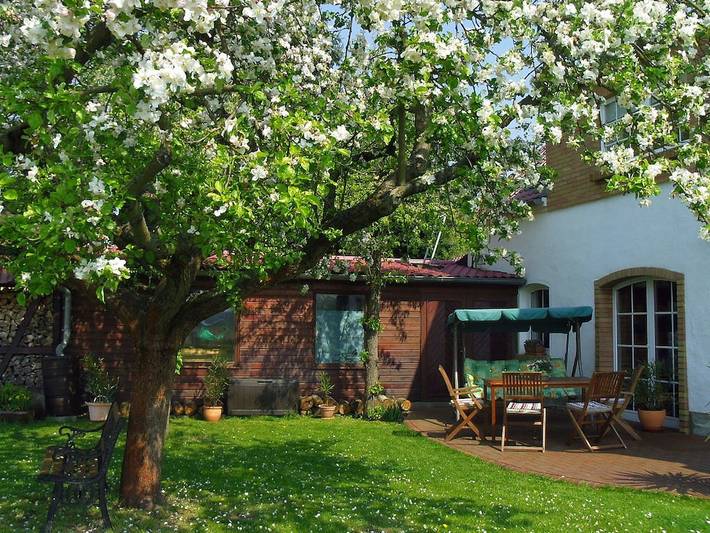Ferienhaus für 8 Personen, mit Terrasse in Unterspreewald - 4