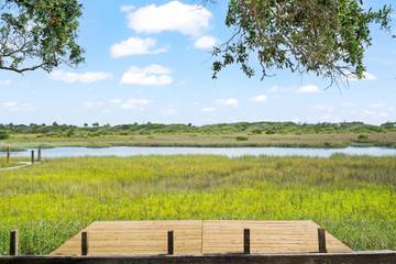 Strandhaus für 6 Personen in Vilano Beach, Florida, Bild 2