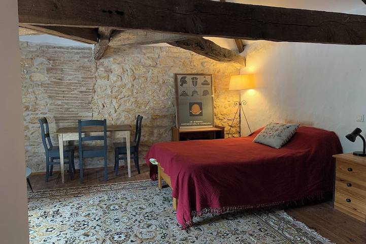 Location de vacances pour 14 personnes, avec jacuzzi, animaux acceptés à Civray - 3