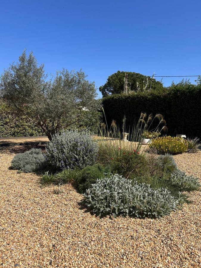Location de vacances pour 8 personnes, avec piscine ainsi que vue et jardin, animaux acceptés à Argens-Minervois - 3