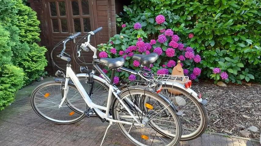 Ferienhaus für 7 Personen, mit Terrasse und Garten sowie Sauna in Jemgum - 4