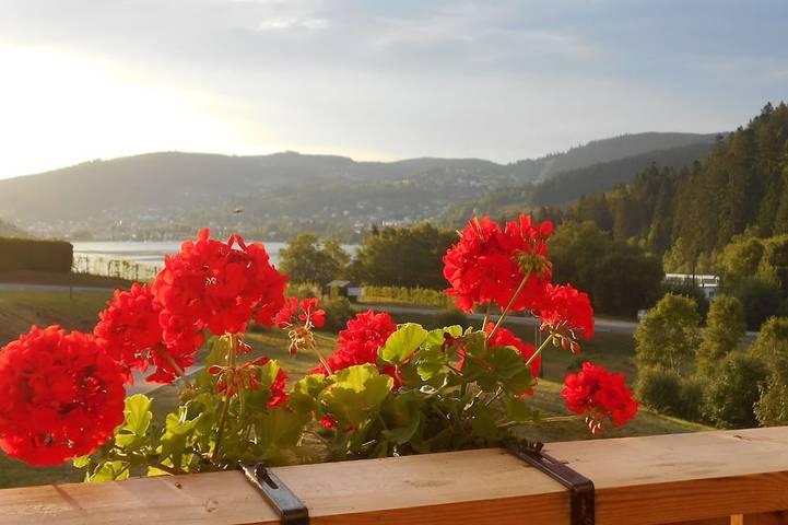 Location de vacances pour 4 personnes, avec balcon dans Lac de Gérardmer