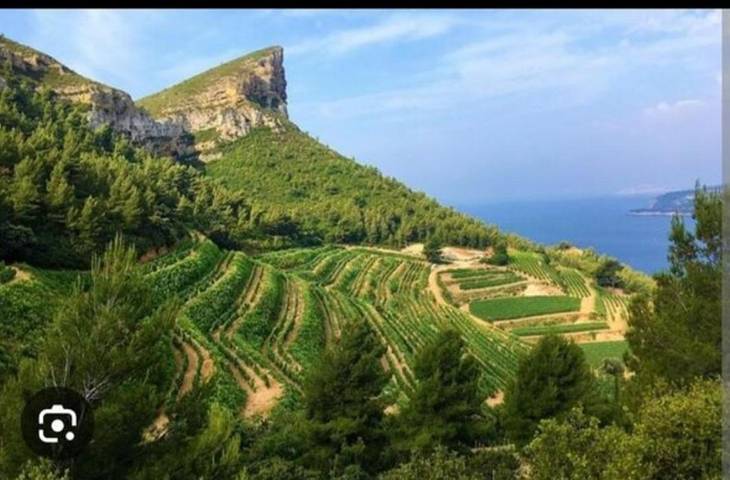 Villa pour 6 personnes, avec piscine et terrasse à La Valette-du-Var - 4