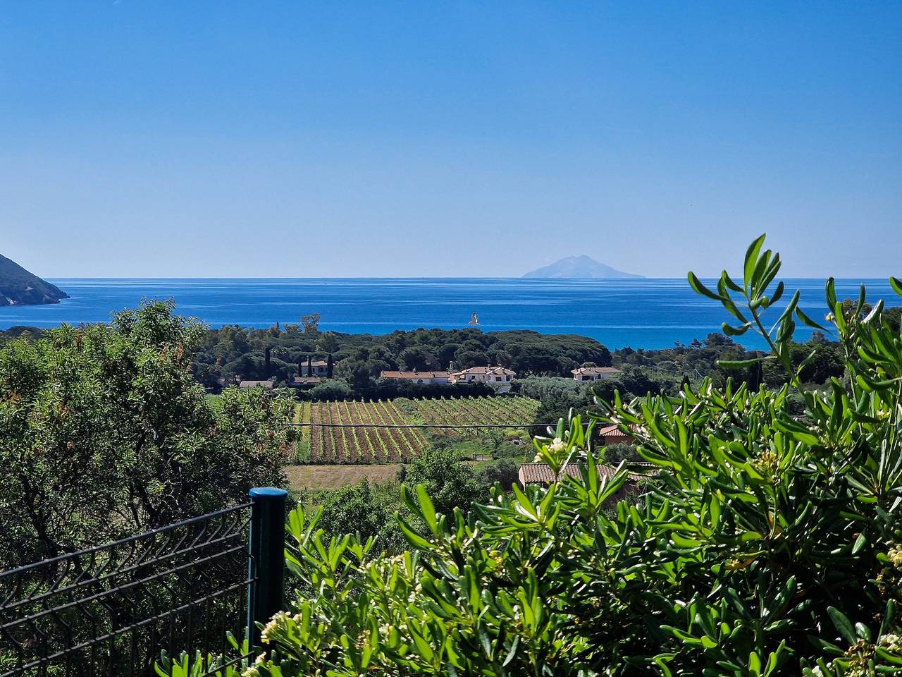 Ganze Wohnung, Apartment 'Lacona Beach' mit privater Veranda in Lacona, Capoliveri